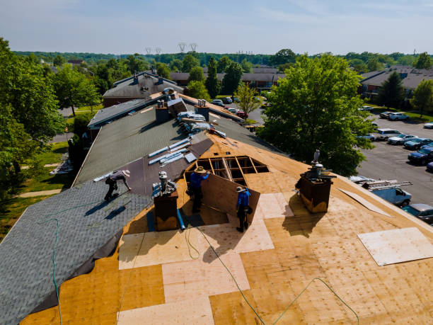 Best Roof Gutter Cleaning  in Shawneeland, VA