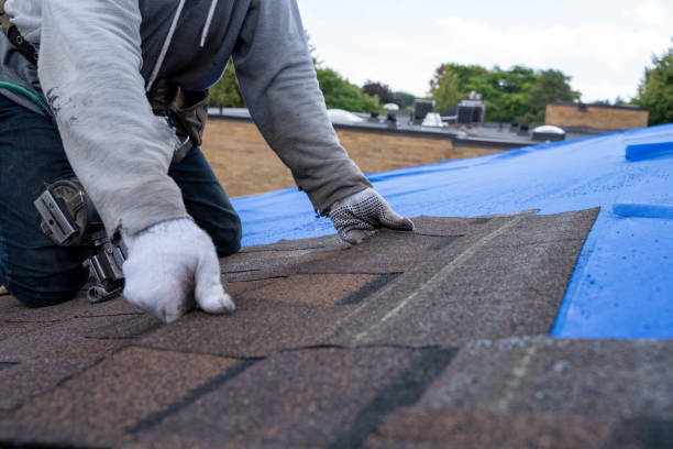 Roof Gutter Cleaning in Shawneeland, VA