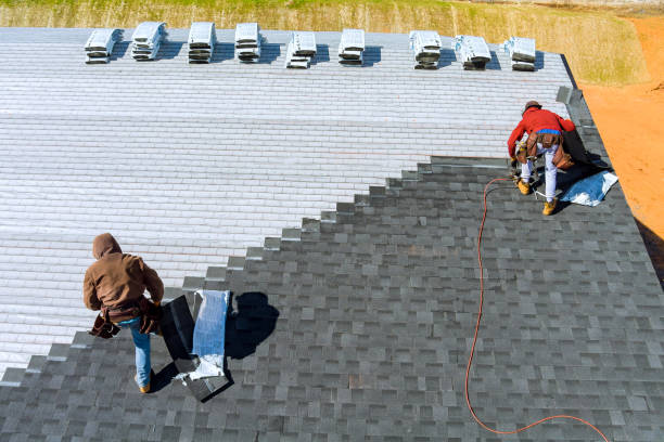 Best Gutter Installation and Roofing  in Shawneeland, VA