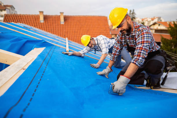 Best Roof Restoration Services  in Shawneeland, VA