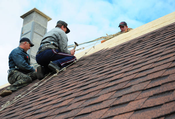 Best Storm Damage Roof Repair  in Shawneeland, VA